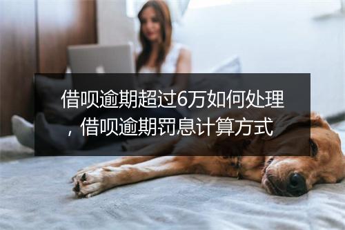 借呗逾期超过6万如何处理，借呗逾期罚息计算方式
