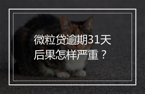 微粒贷逾期31天后果怎样严重？