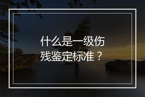 什么是一级伤残鉴定标准？