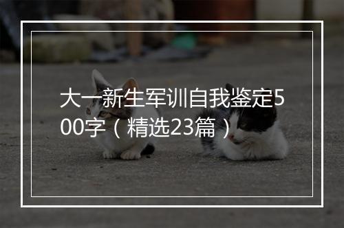 大一新生军训自我鉴定500字（精选23篇）