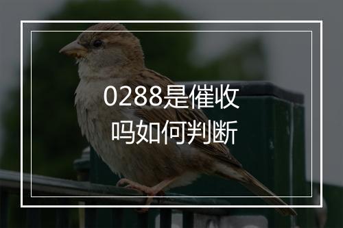 0288是催收 吗如何判断