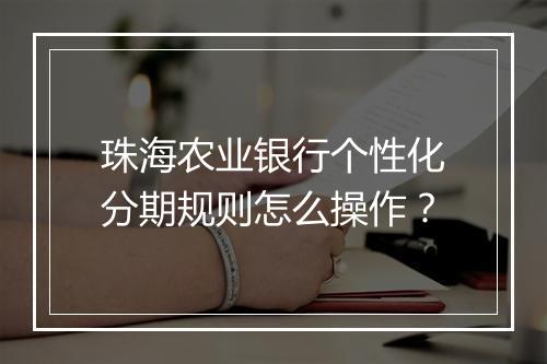 珠海农业银行个性化分期规则怎么操作？