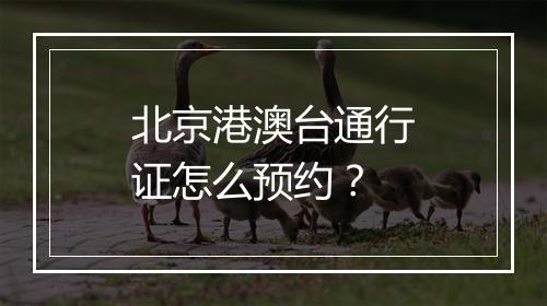 北京港澳台通行证怎么预约？