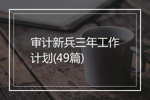 审计新兵三年工作计划(49篇)