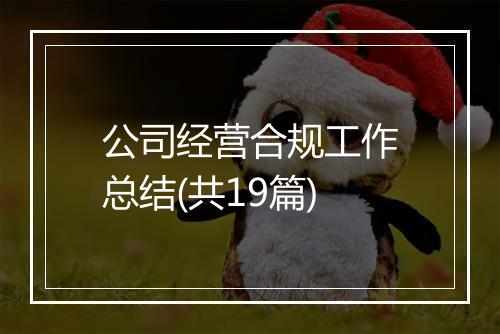 公司经营合规工作总结(共19篇)
