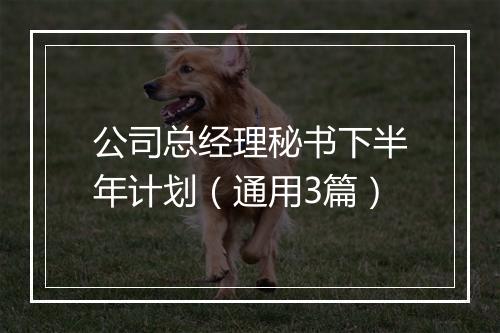公司总经理秘书下半年计划（通用3篇）