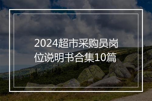 2024超市采购员岗位说明书合集10篇