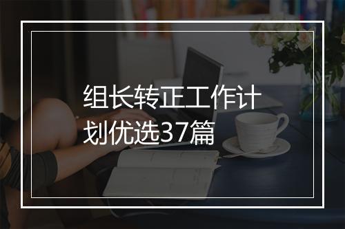 组长转正工作计划优选37篇