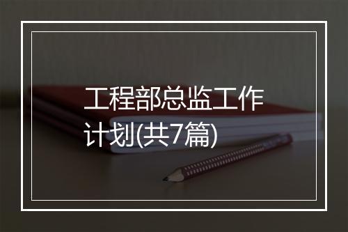 工程部总监工作计划(共7篇)