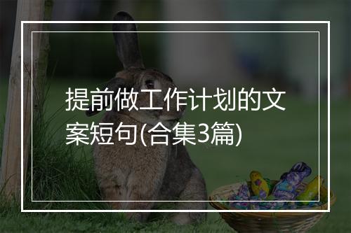 提前做工作计划的文案短句(合集3篇)