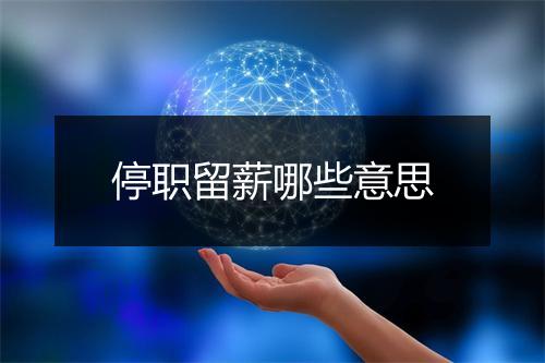 停职留薪哪些意思