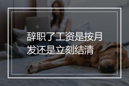 辞职了工资是按月发还是立刻结清