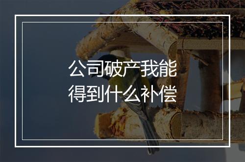 公司破产我能得到什么补偿