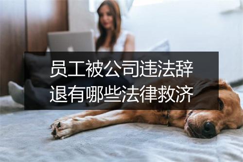 员工被公司违法辞退有哪些法律救济