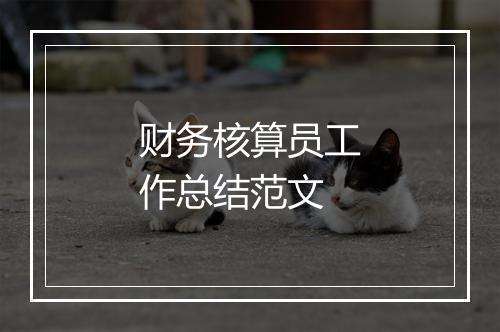 财务核算员工作总结范文