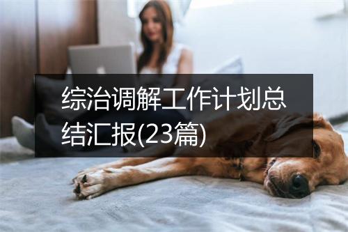 综治调解工作计划总结汇报(23篇)