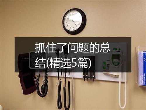 抓住了问题的总结(精选5篇)