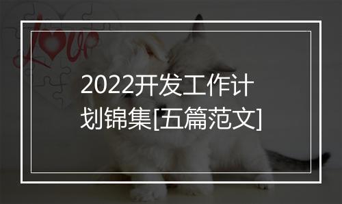 2022开发工作计划锦集[五篇范文]