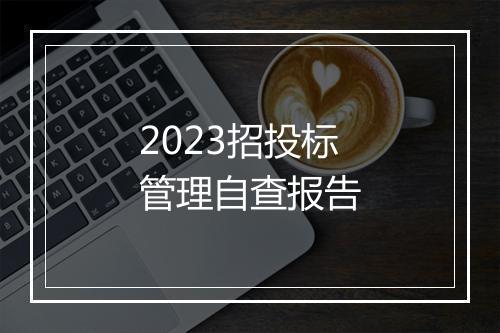 2023招投标管理自查报告