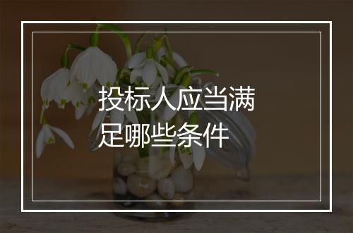 投标人应当满足哪些条件