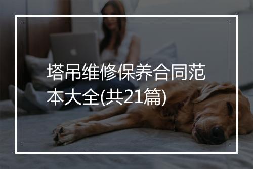 塔吊维修保养合同范本大全(共21篇)