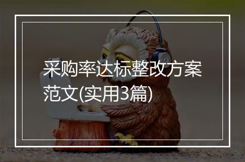 采购率达标整改方案范文(实用3篇)