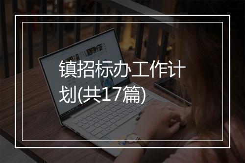 镇招标办工作计划(共17篇)