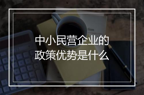 中小民营企业的政策优势是什么