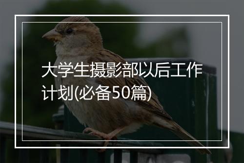 大学生摄影部以后工作计划(必备50篇)