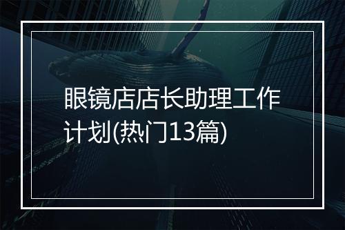 眼镜店店长助理工作计划(热门13篇)