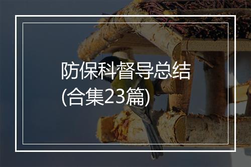 防保科督导总结(合集23篇)