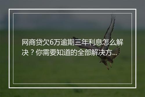 网商贷欠6万逾期三年利息怎么解决？你需要知道的全部解决方法