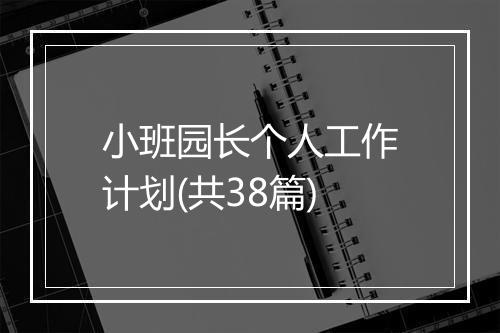 小班园长个人工作计划(共38篇)
