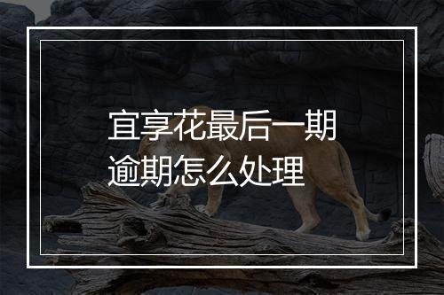 宜享花最后一期逾期怎么处理