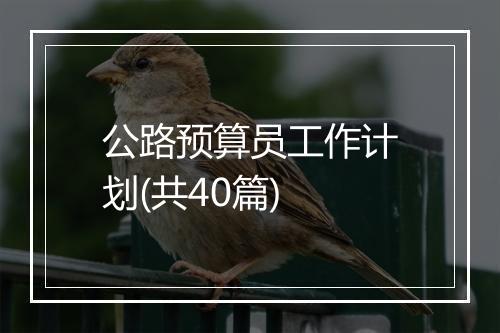 公路预算员工作计划(共40篇)