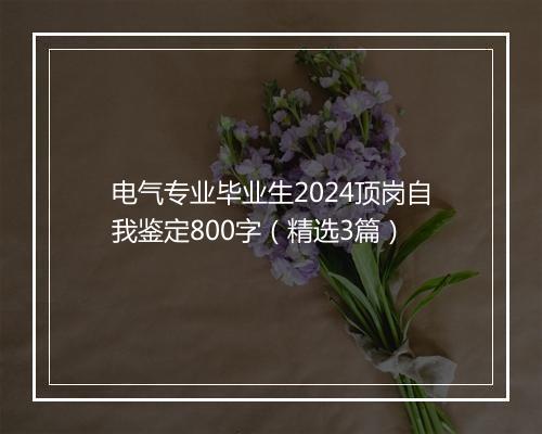电气专业毕业生2024顶岗自我鉴定800字（精选3篇）