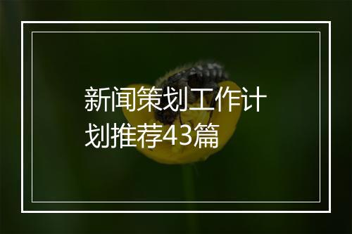 新闻策划工作计划推荐43篇