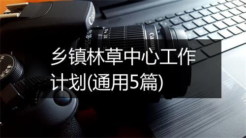 乡镇林草中心工作计划(通用5篇)