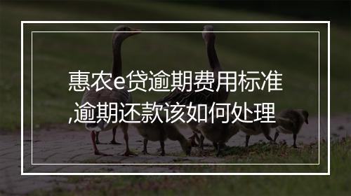惠农e贷逾期费用标准,逾期还款该如何处理