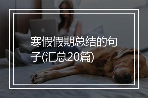 寒假假期总结的句子(汇总20篇)