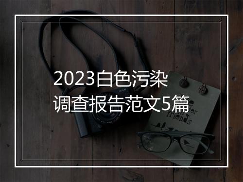 2023白色污染调查报告范文5篇