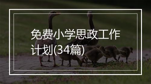 免费小学思政工作计划(34篇)