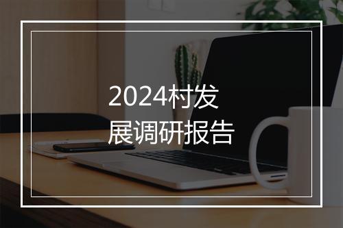 2024村发展调研报告