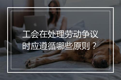 工会在处理劳动争议时应遵循哪些原则？