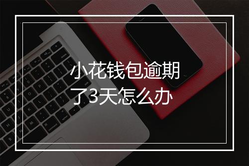 小花钱包逾期了3天怎么办