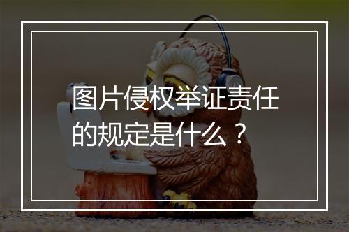图片侵权举证责任的规定是什么？
