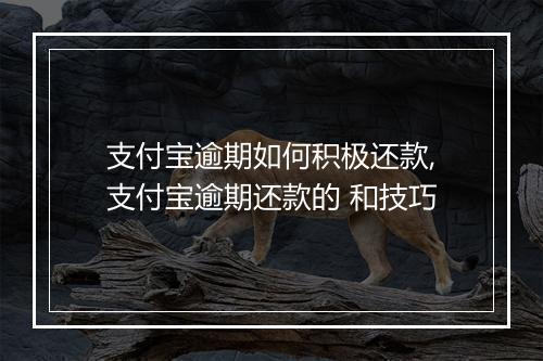支付宝逾期如何积极还款,支付宝逾期还款的 和技巧