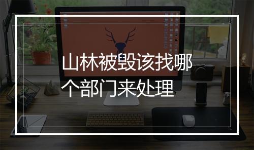 山林被毁该找哪个部门来处理