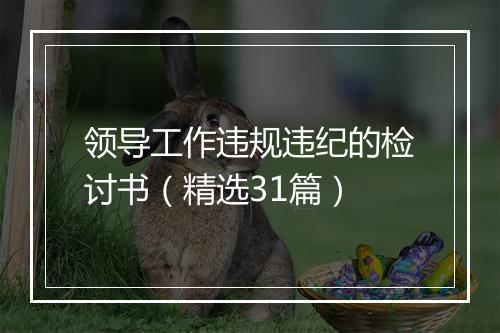 领导工作违规违纪的检讨书（精选31篇）