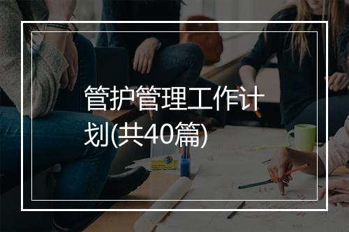 管护管理工作计划(共40篇)